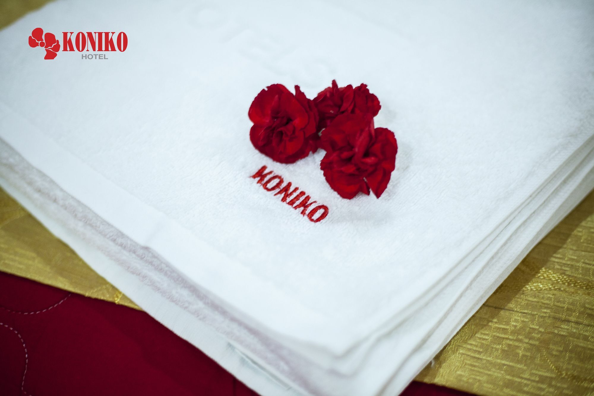 Koniko Hotel Ho Şi Min Dış mekan fotoğraf